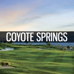 Coyote Springs Icon